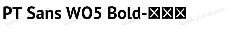 PT Sans WO5 Bold字体转换